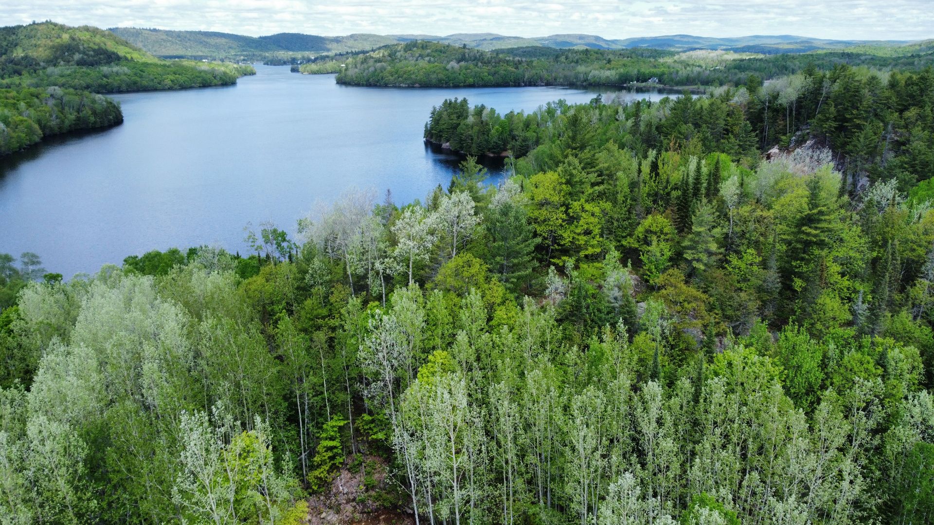 Aerial photo