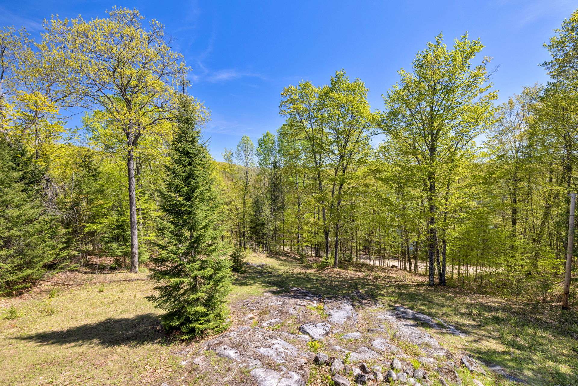 Land/Lot