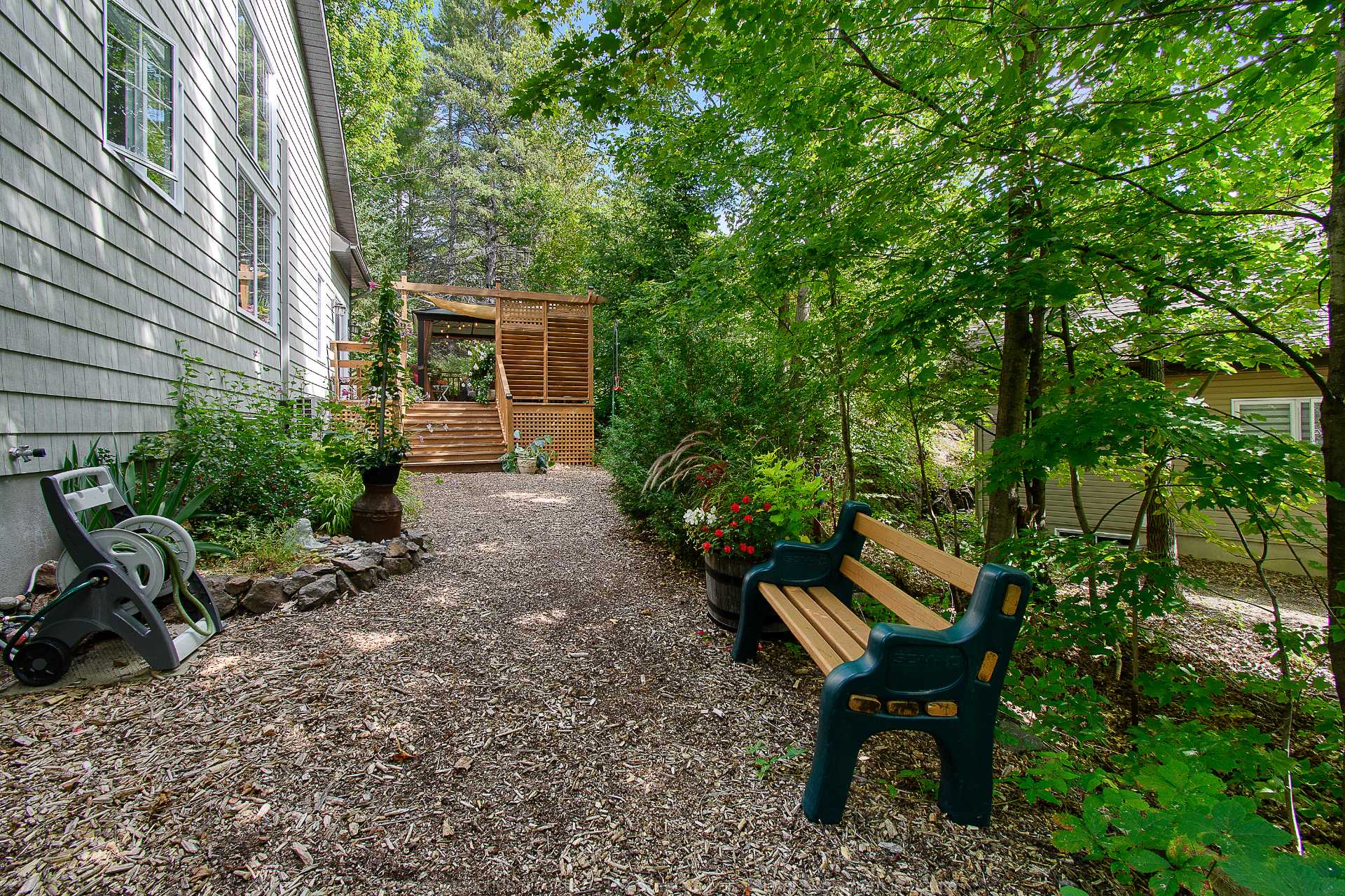 Backyard