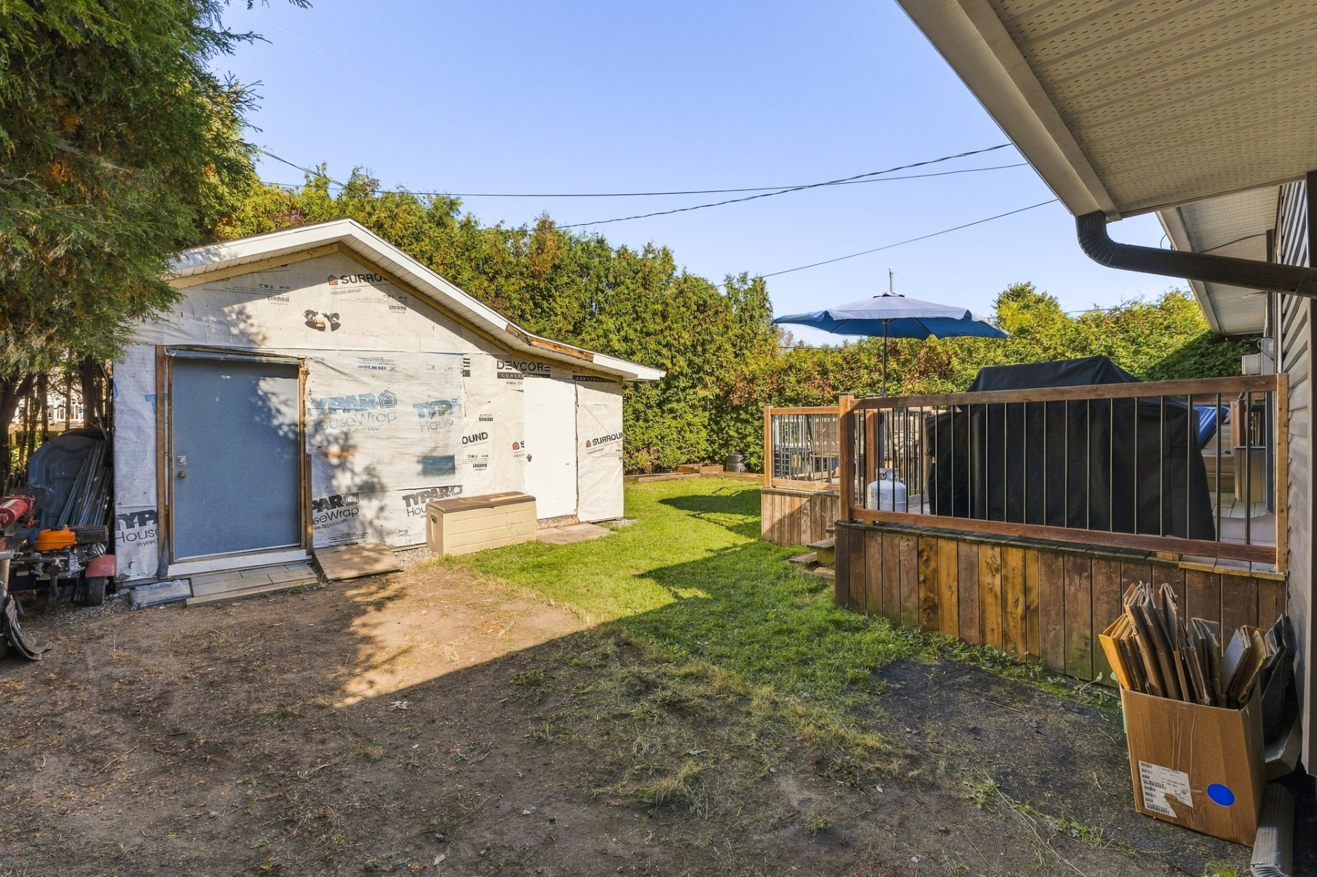 Backyard