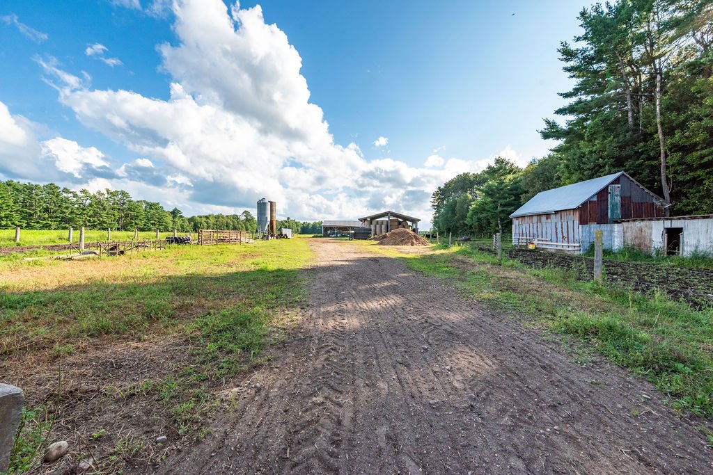 Barn Yard