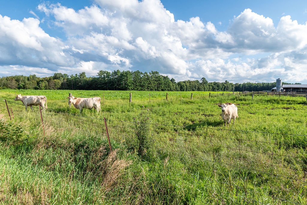 Land/Lot