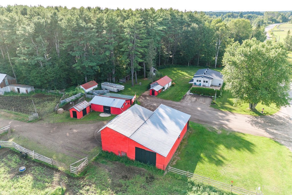 Aerial photo