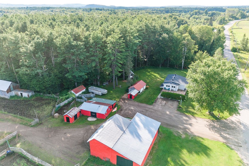 Aerial photo