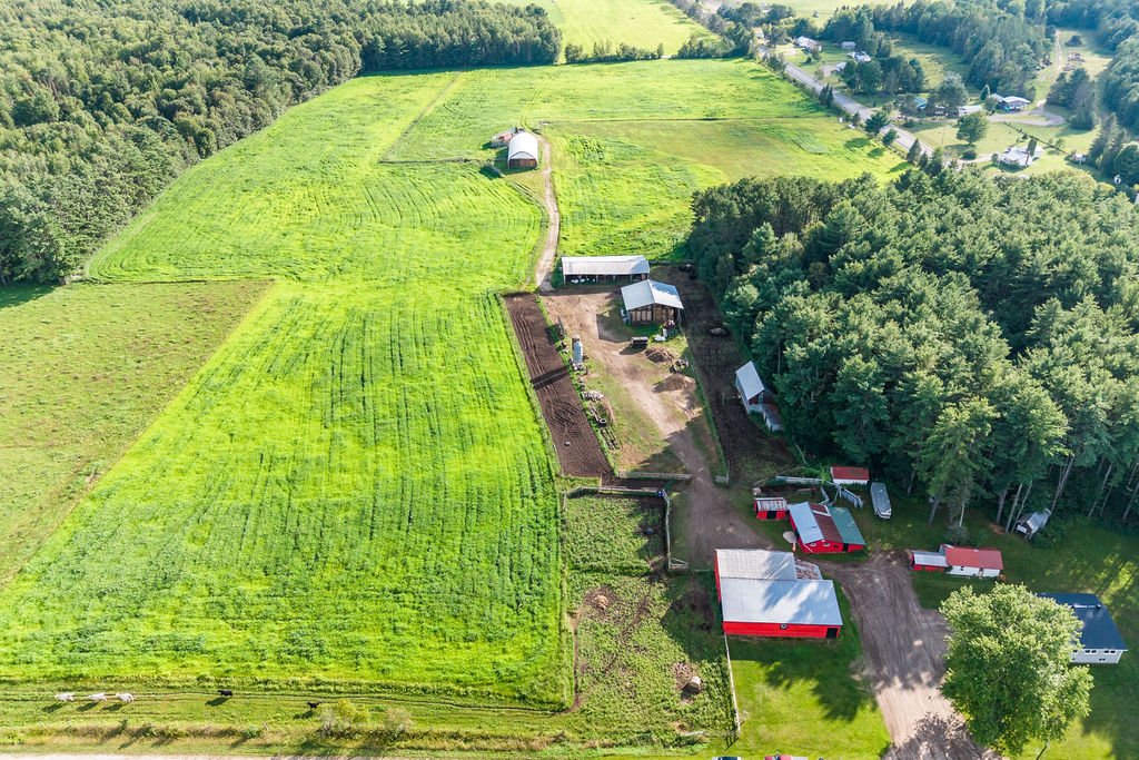 Aerial photo