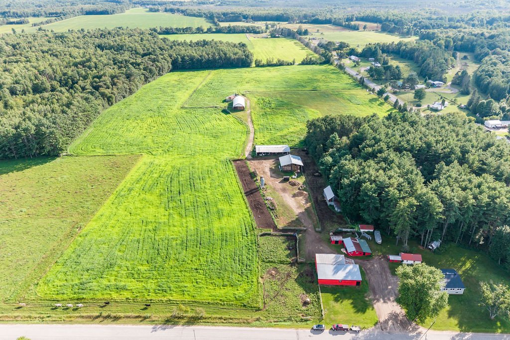 Aerial photo