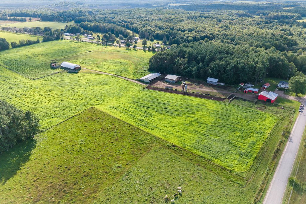 Aerial photo