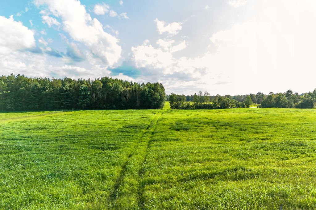Land/Lot
