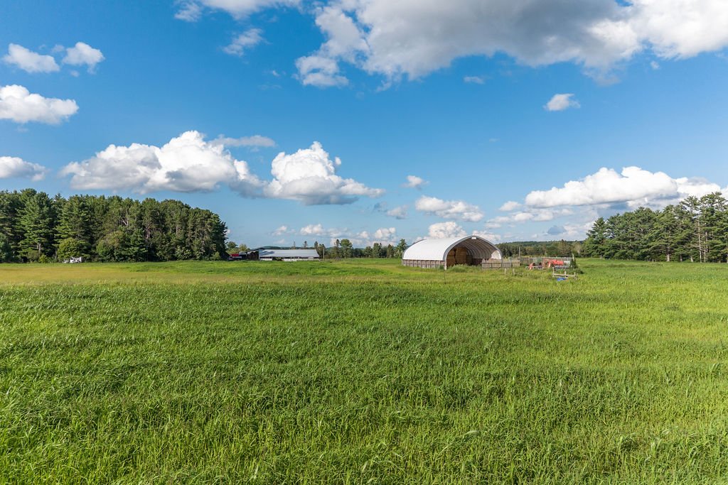 Land/Lot