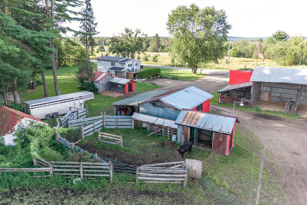 Aerial photo