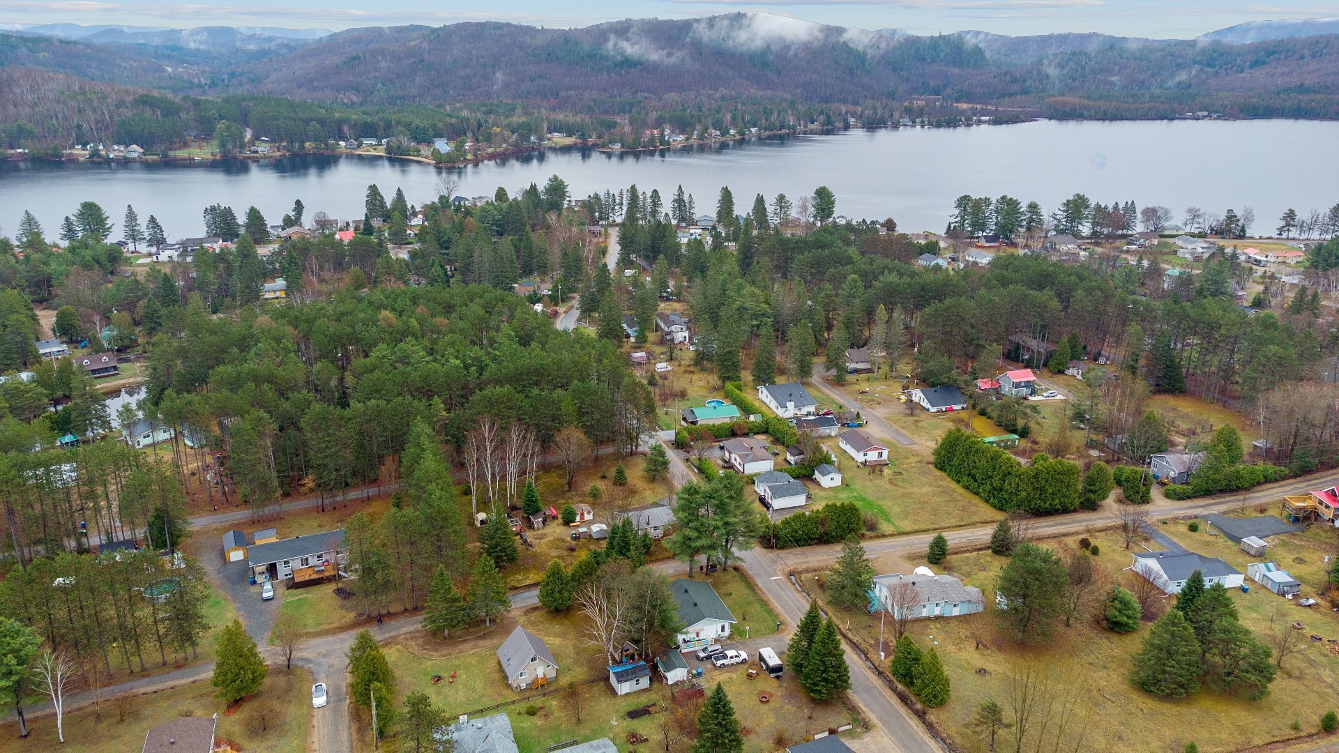 Overall view