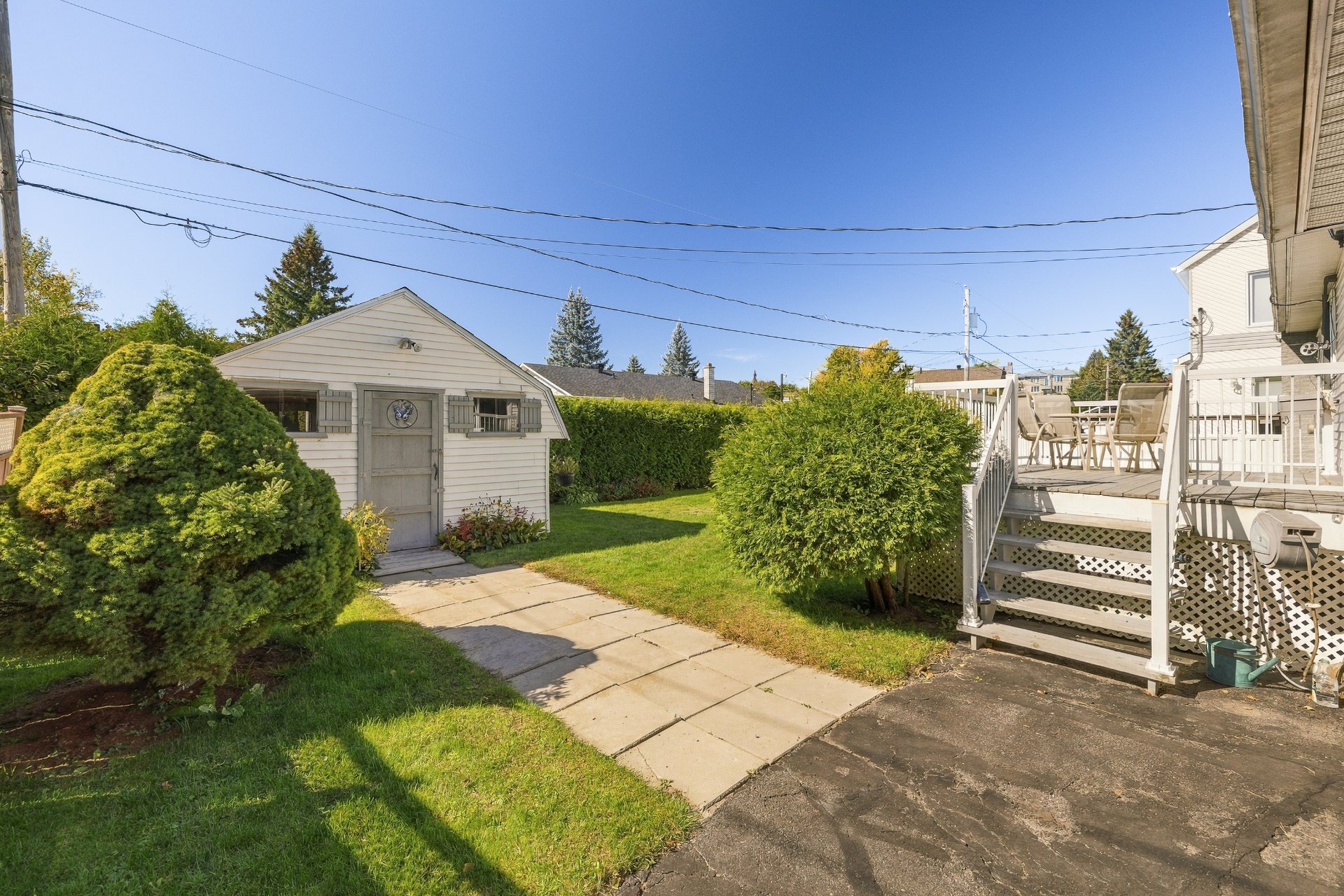 Backyard