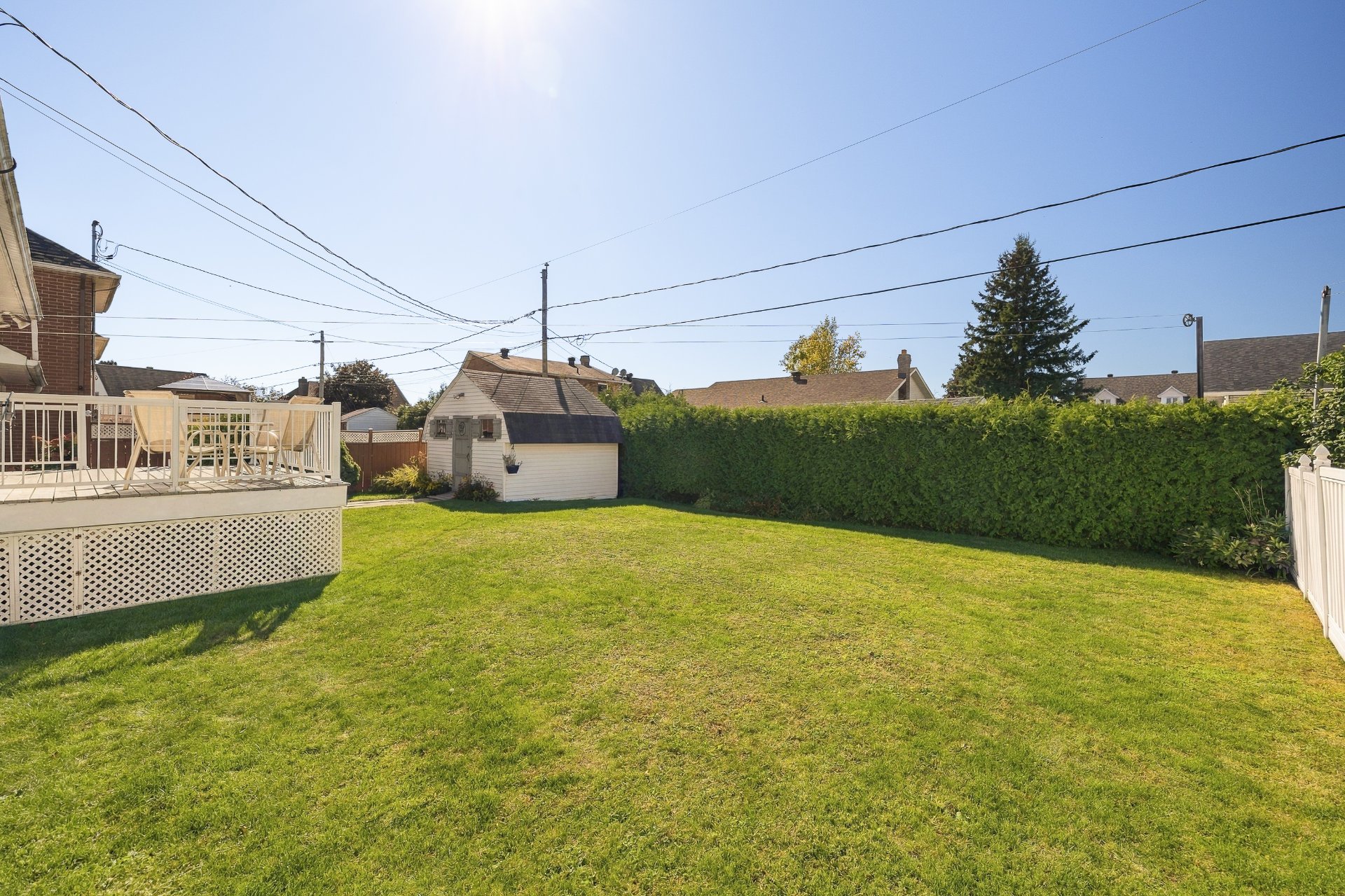 Backyard
