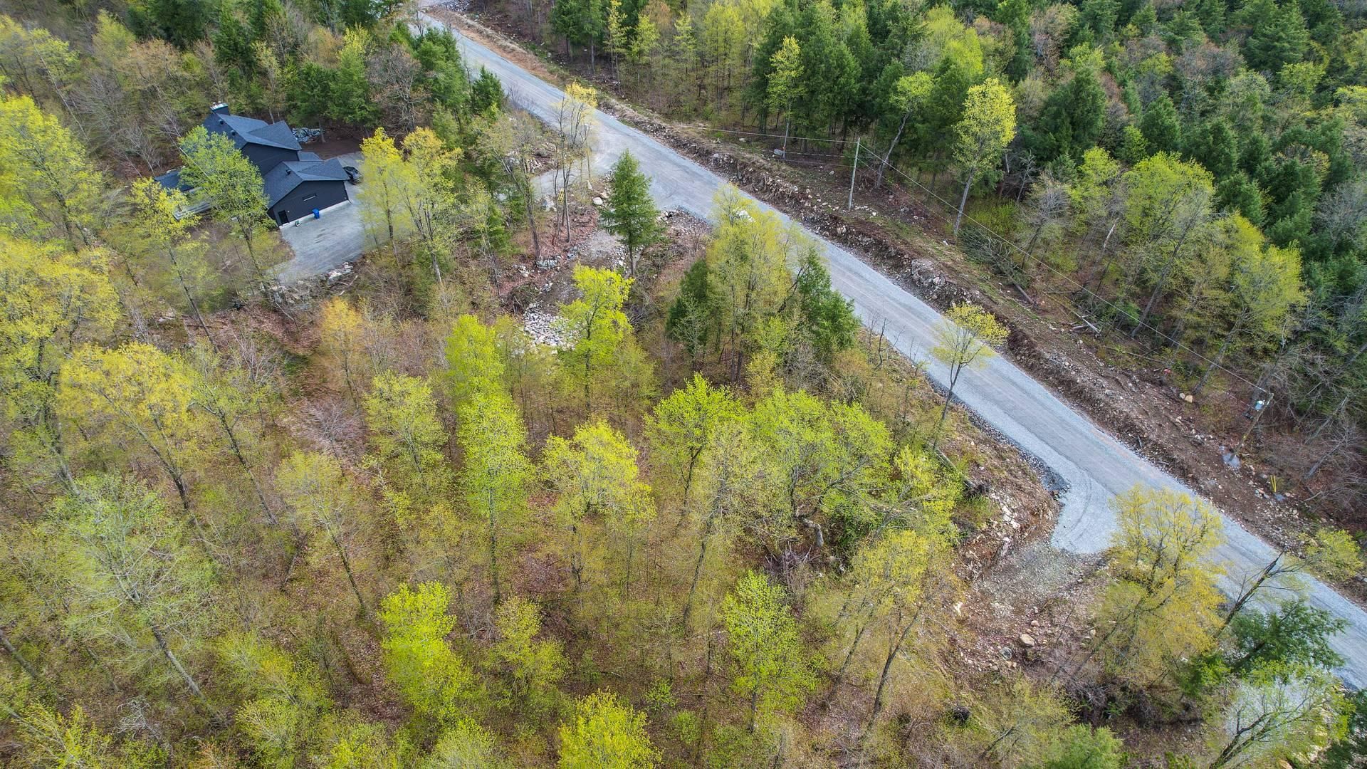 Overall View