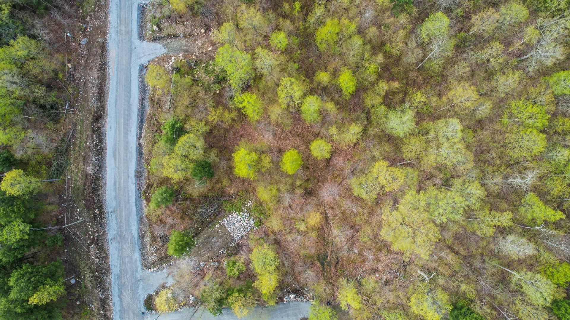 Overall View