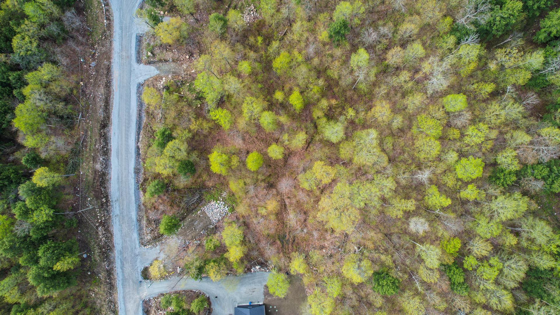 Overall View