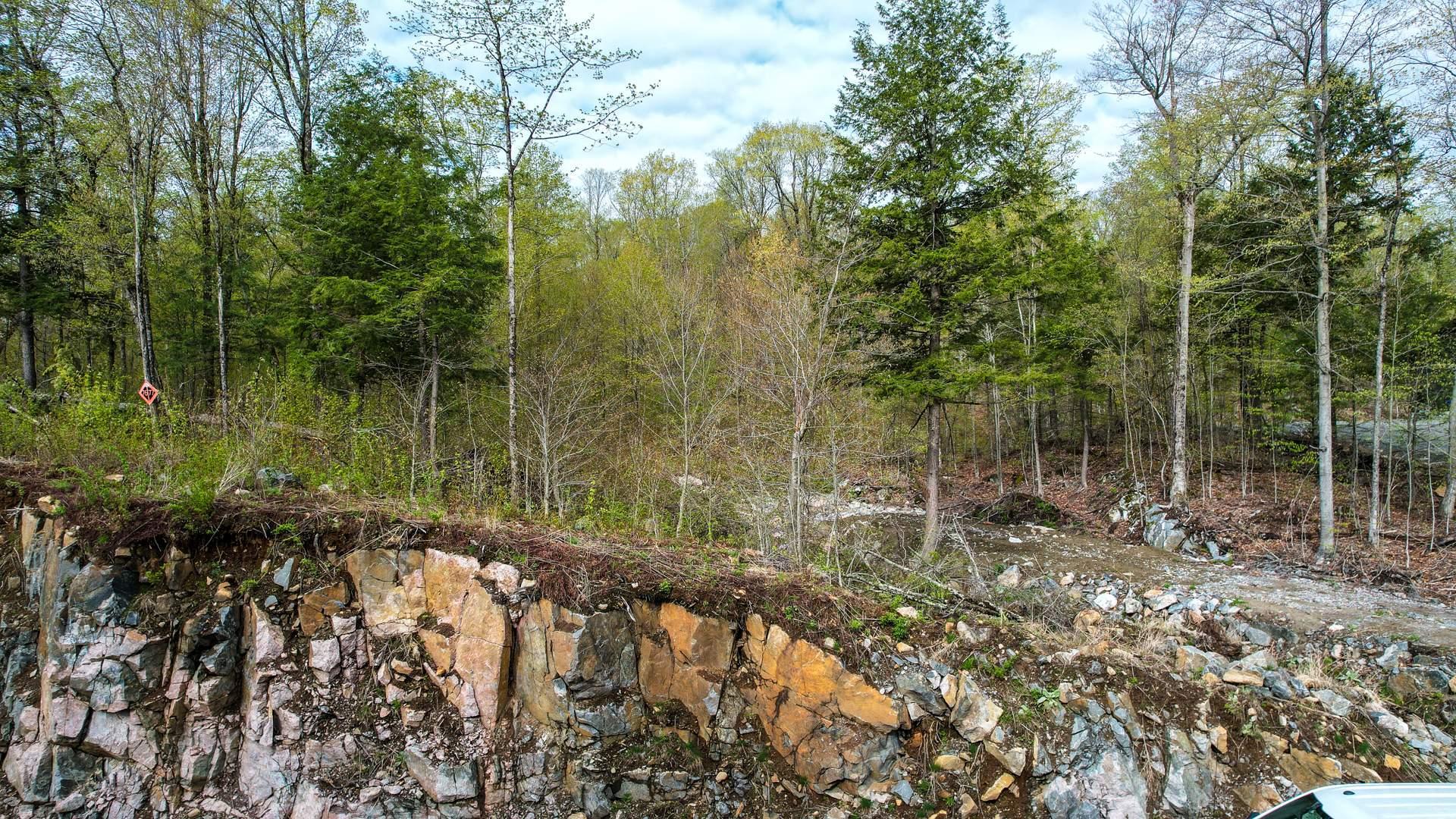 Overall View