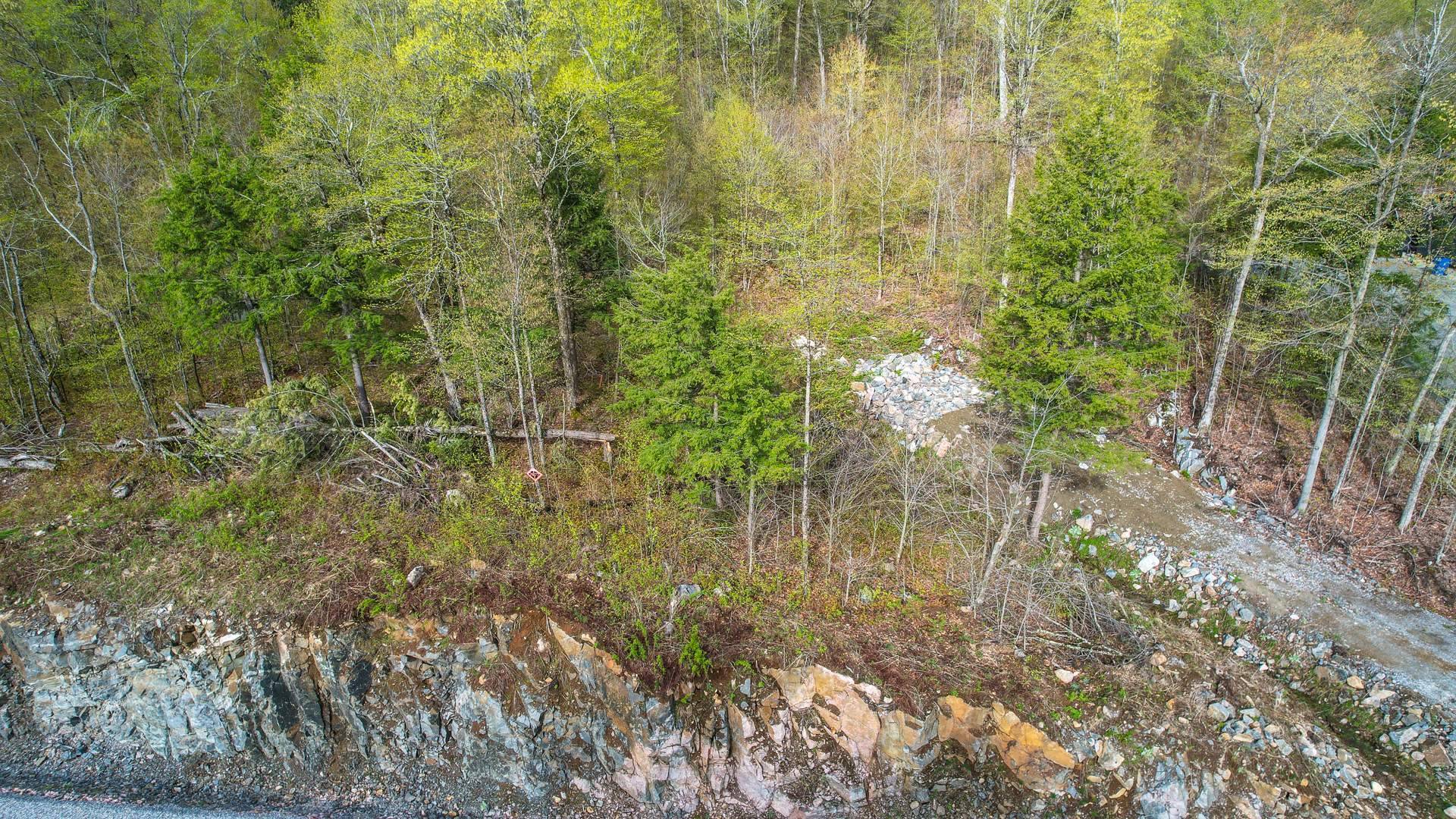 Overall View