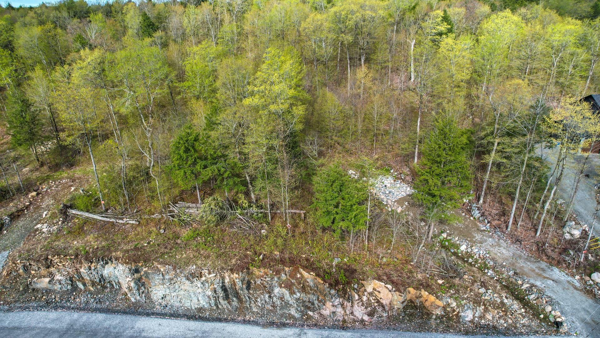 Overall View