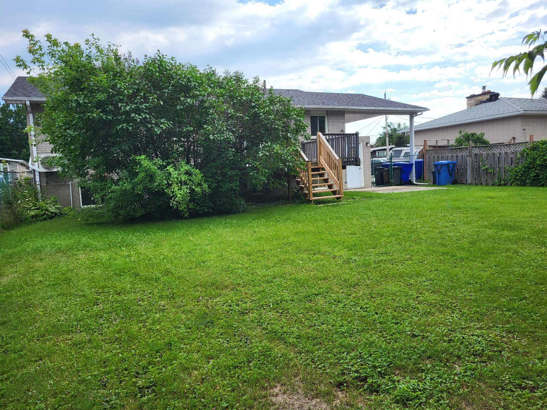 Backyard