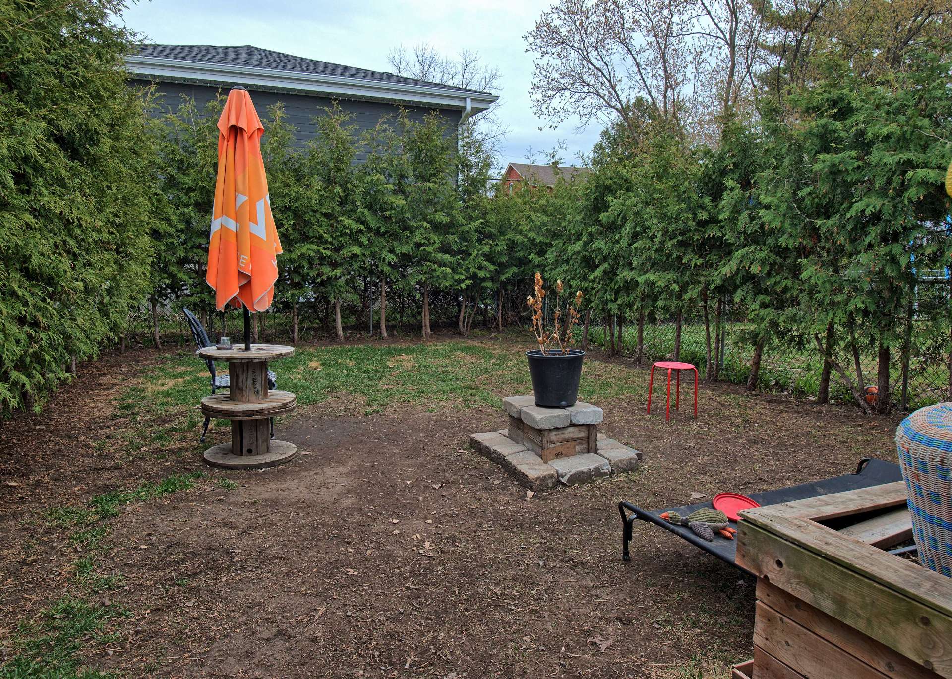 Backyard