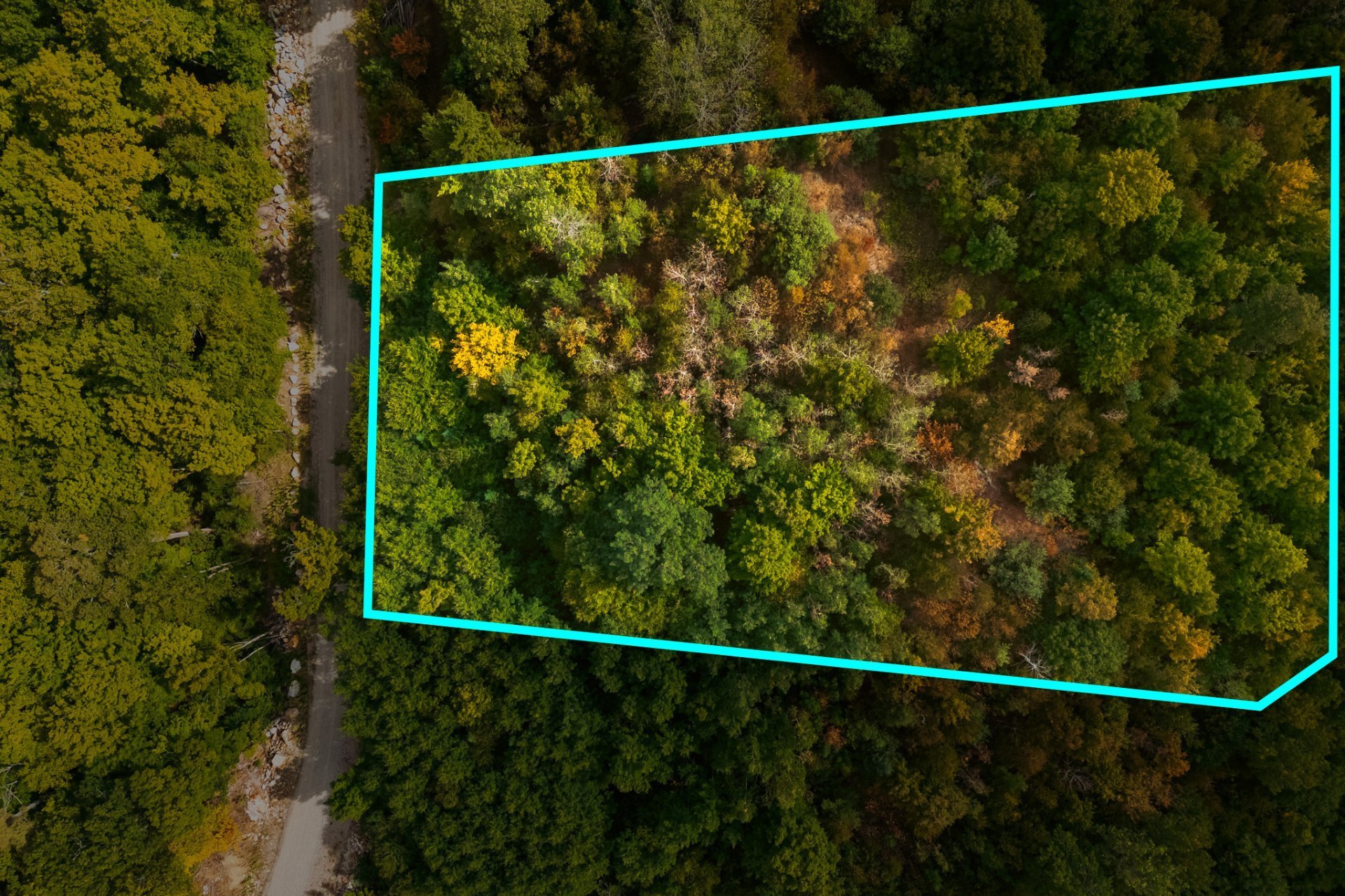 Land/Lot