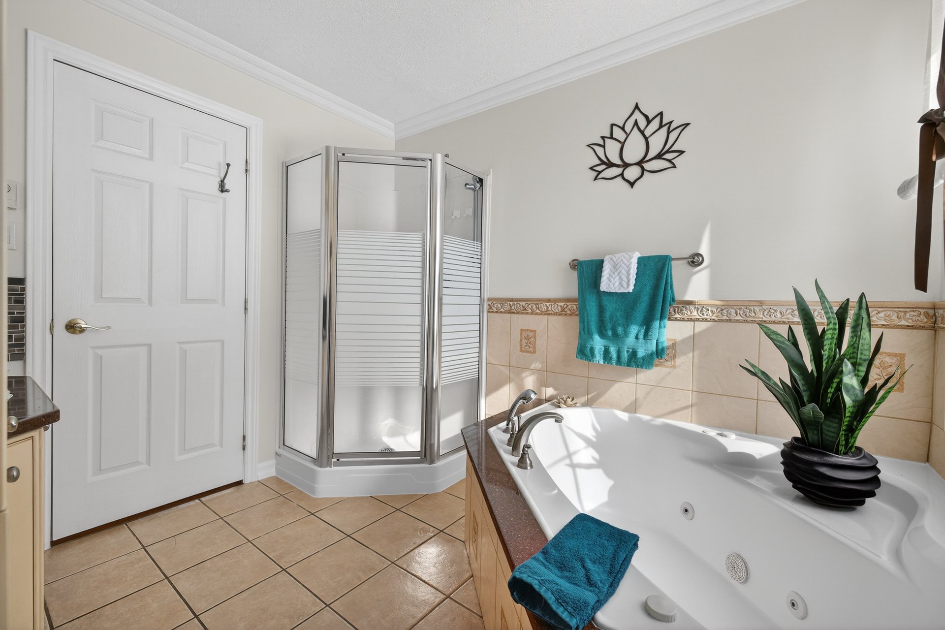 Salle de bains - Douche indépendante