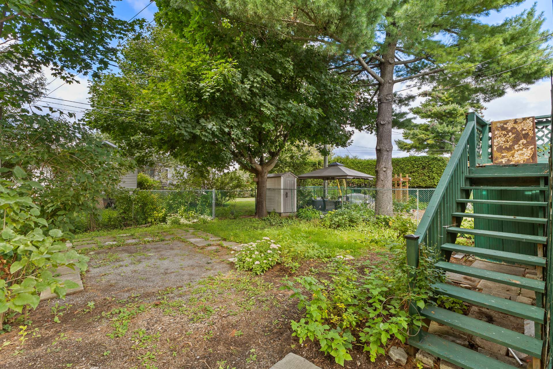 Backyard