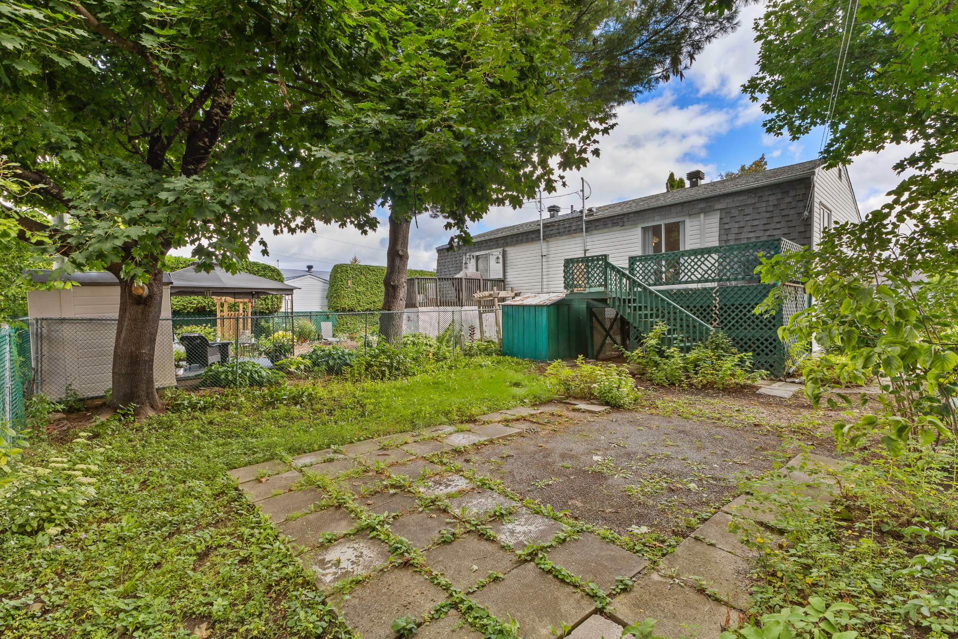 Backyard