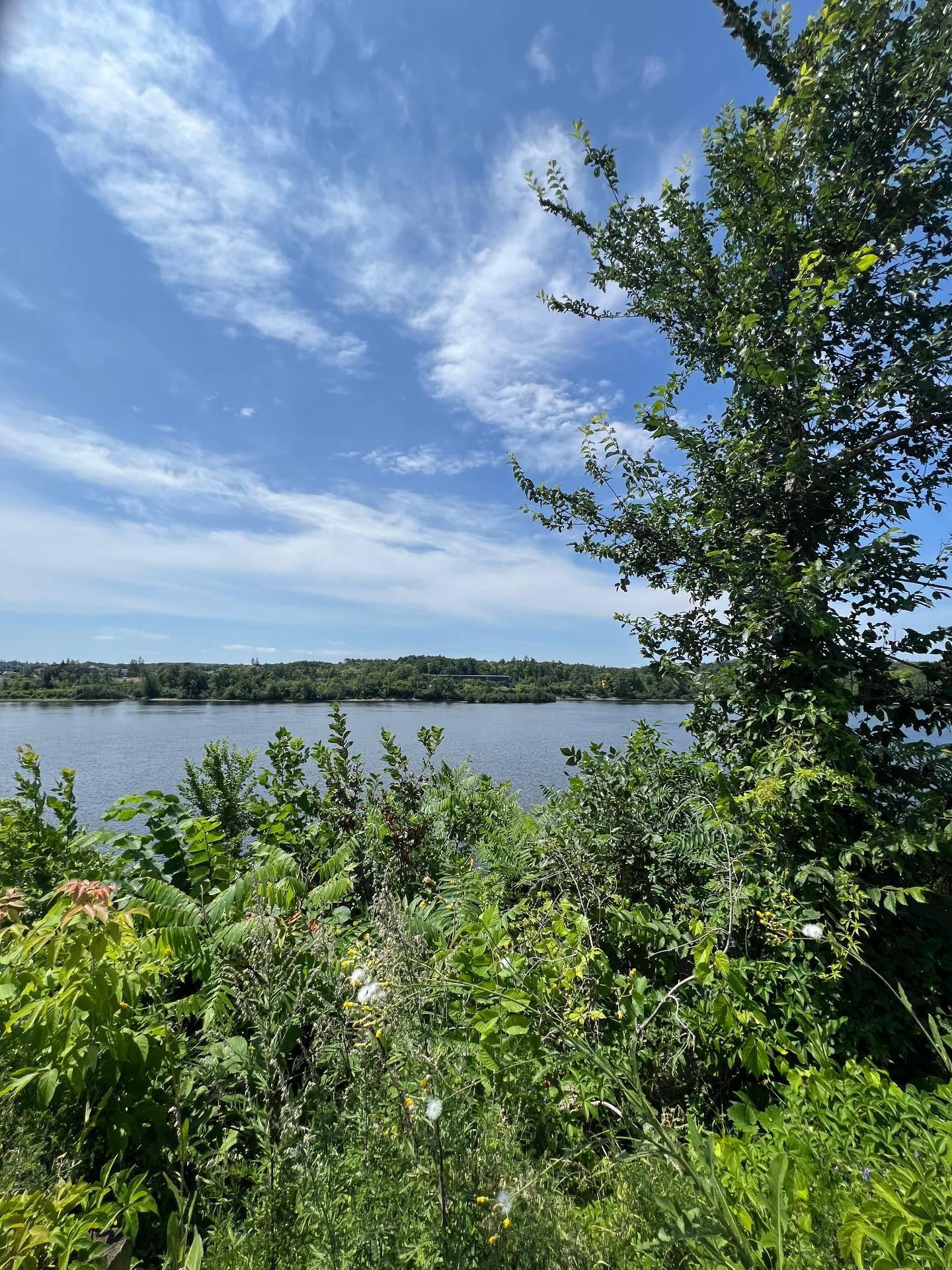 Water view