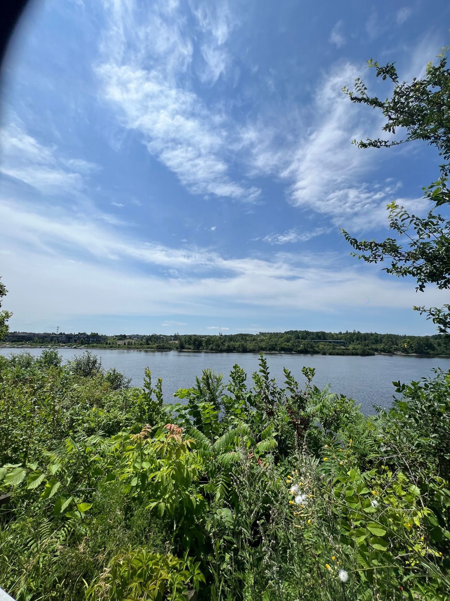 Water view