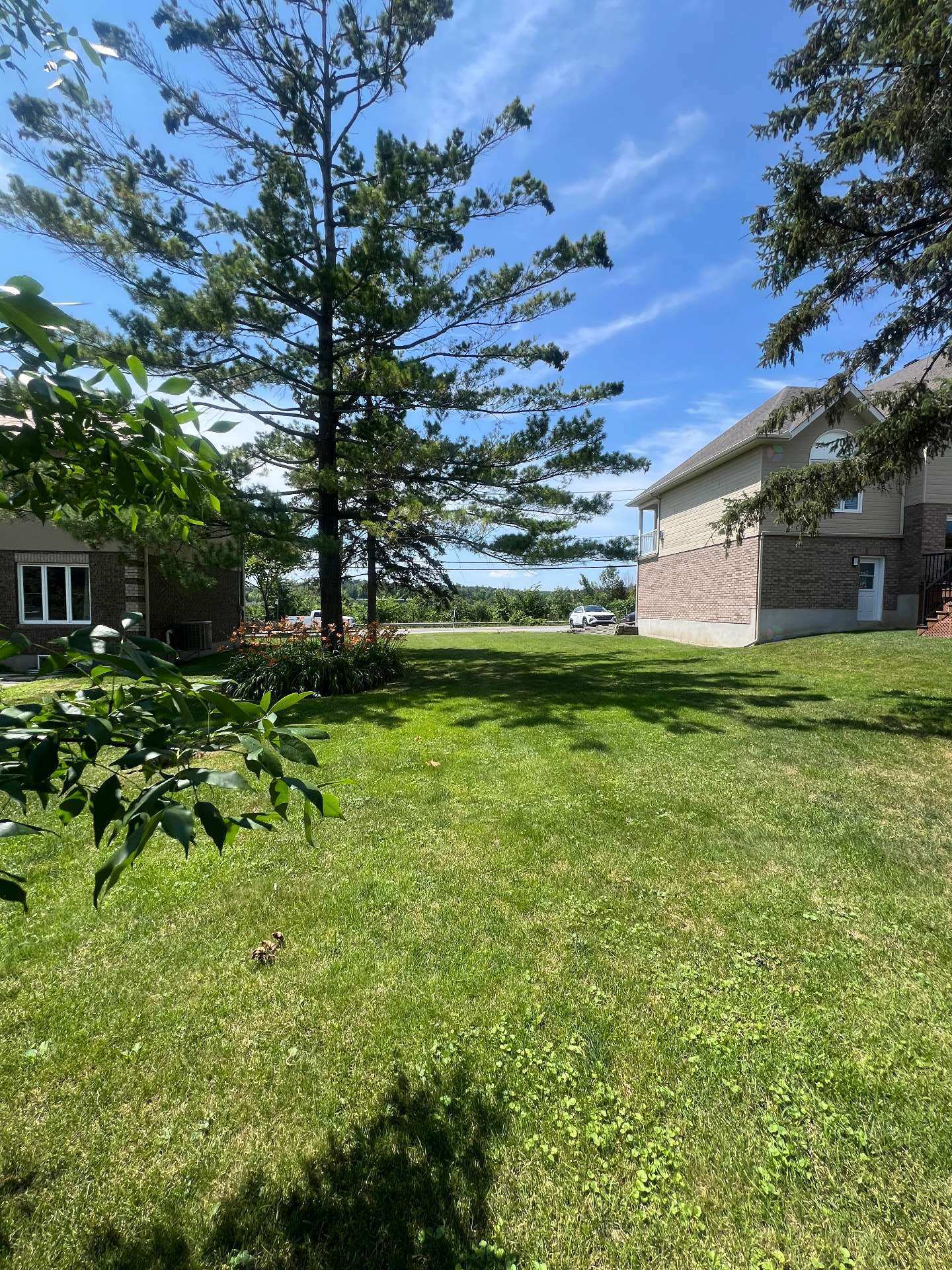 Land/Lot