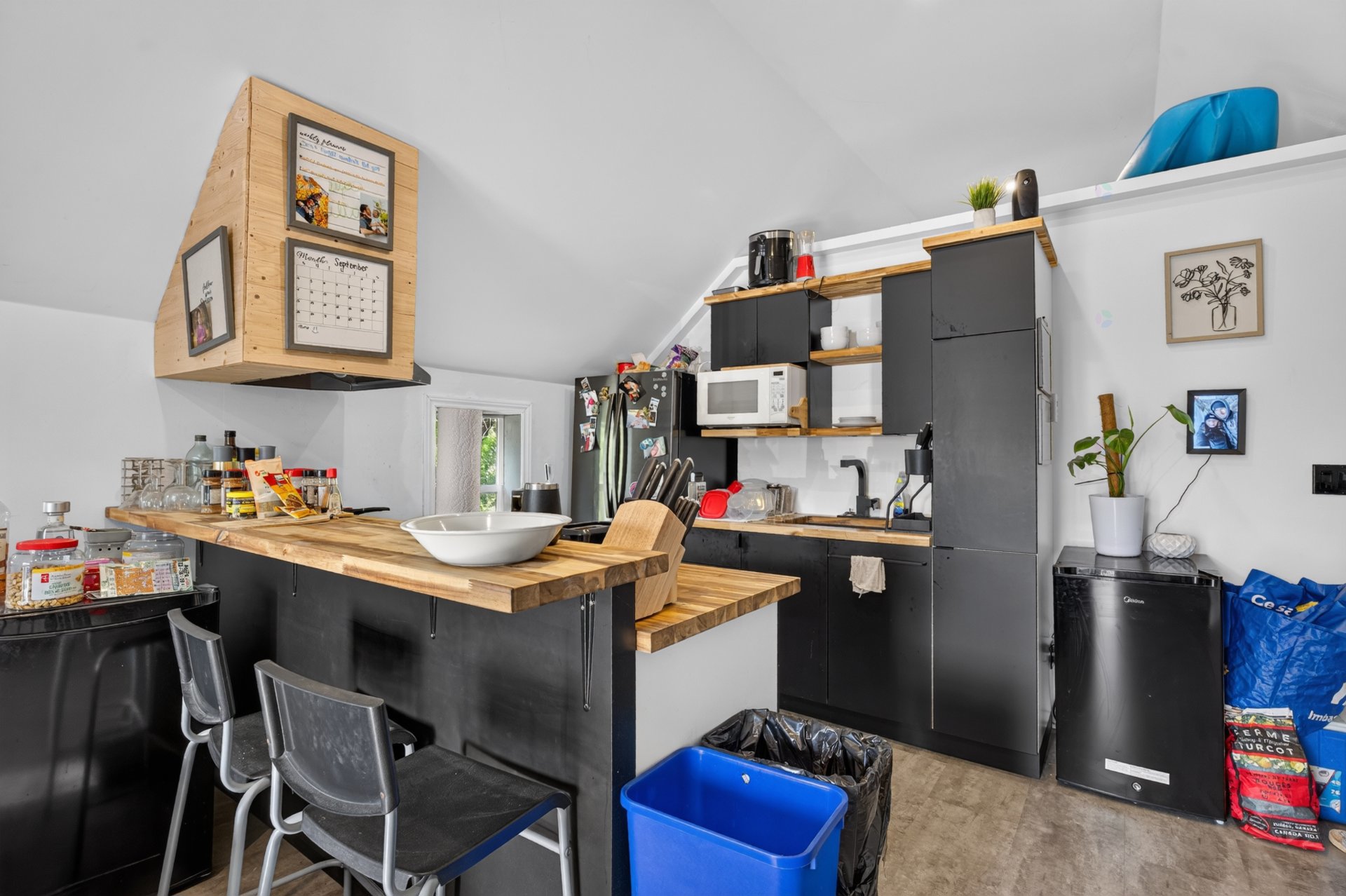 Apt 2