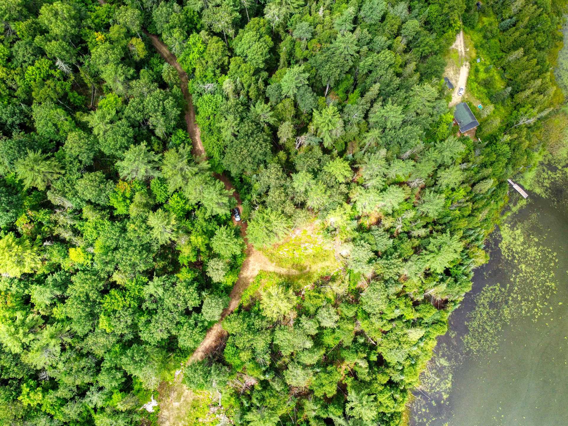 Aerial photo