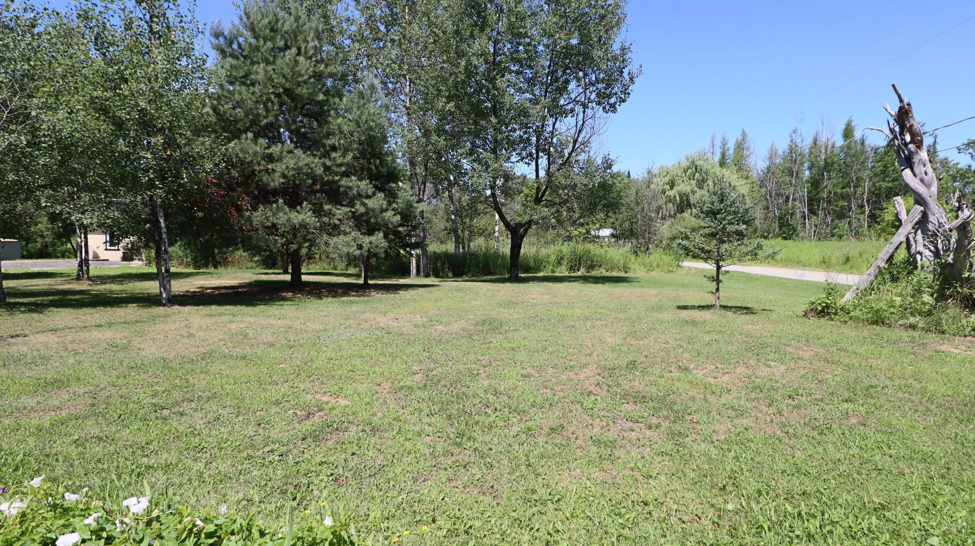 Land/Lot