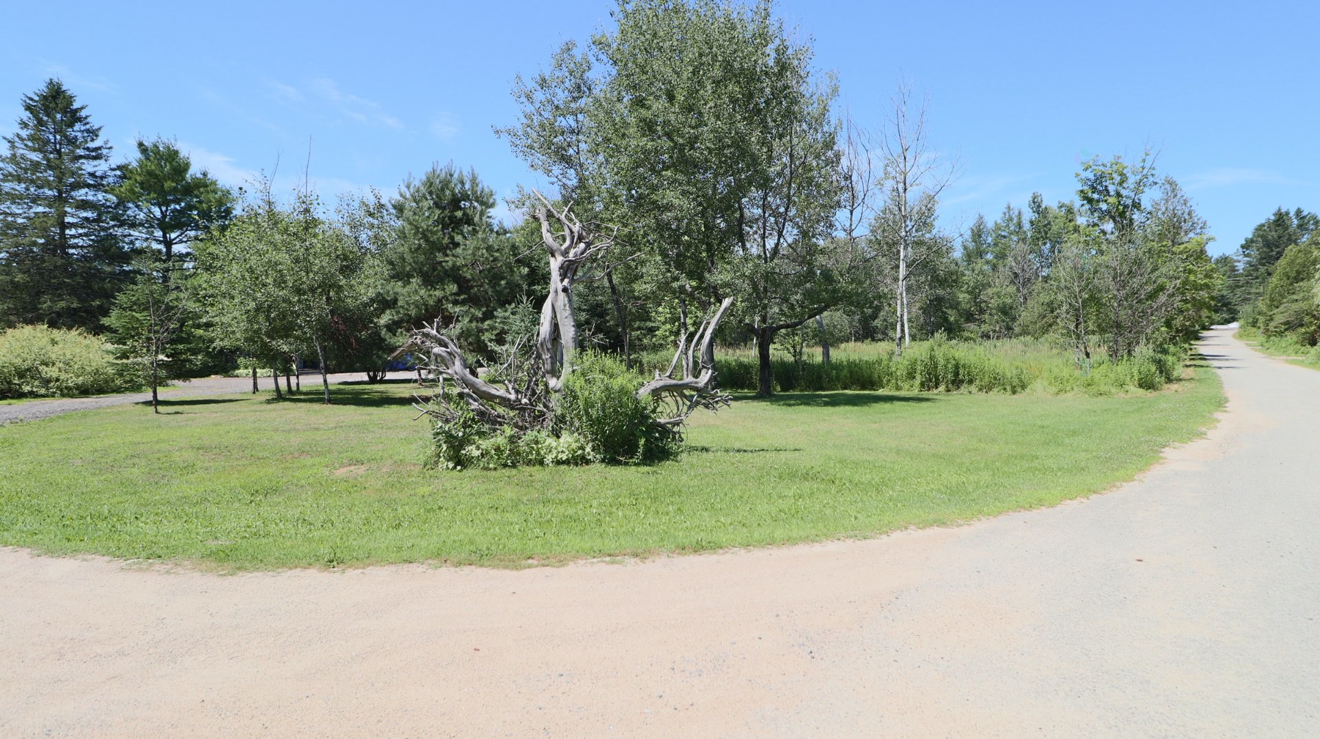 Land/Lot