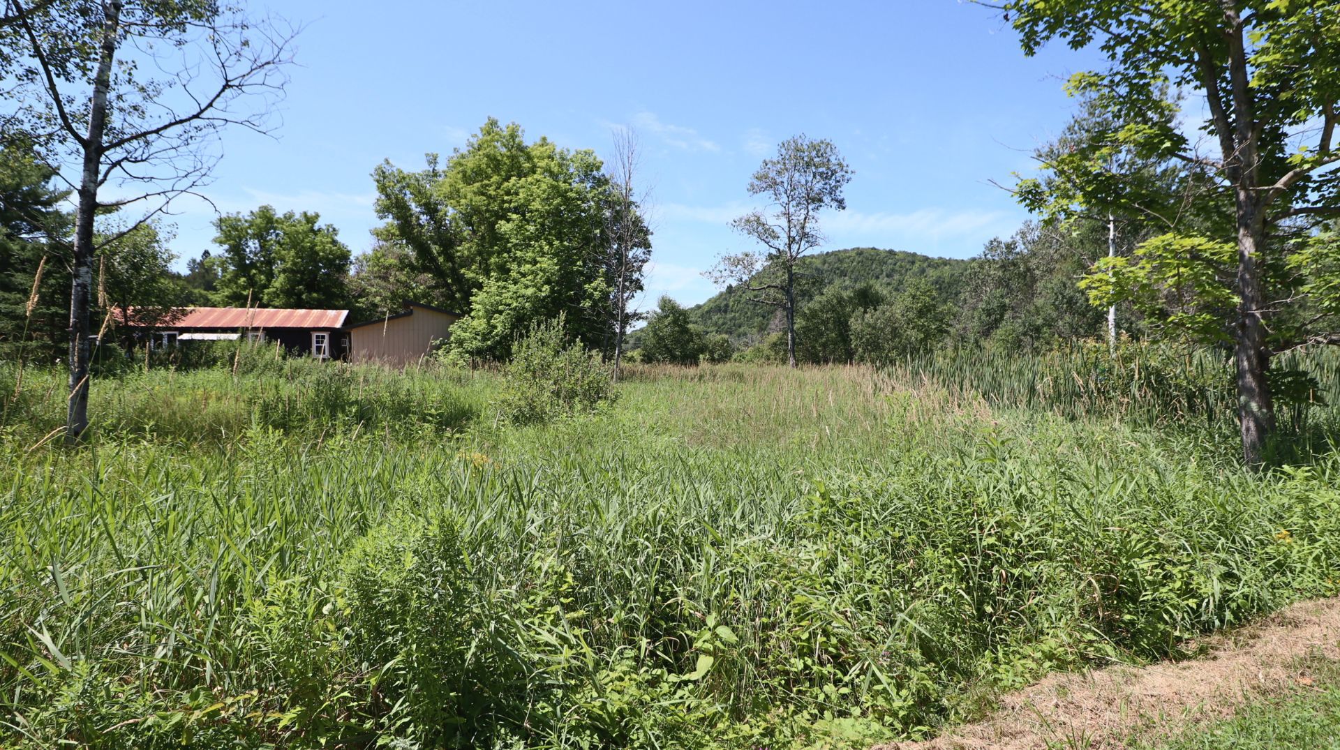 Land/Lot