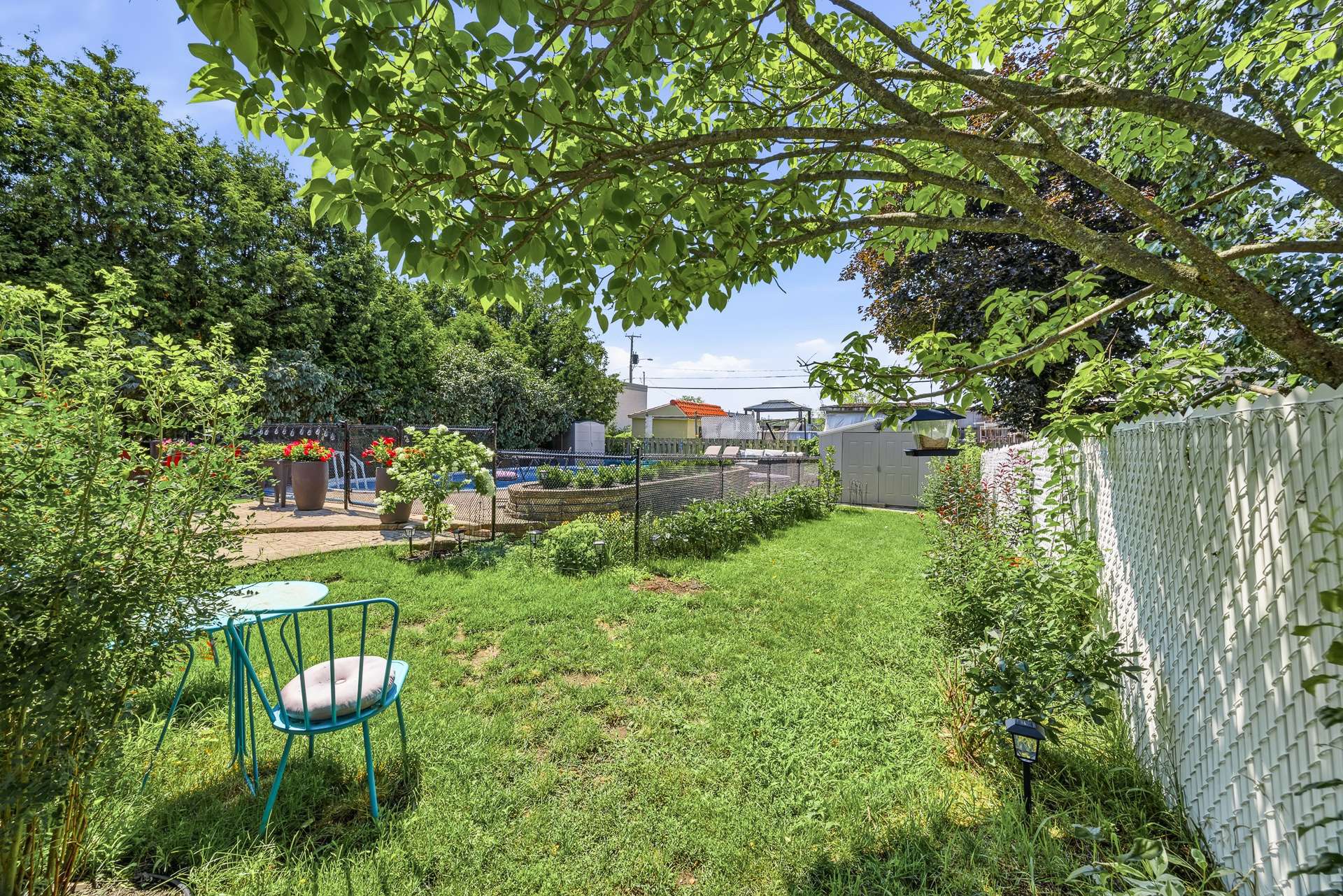 Backyard