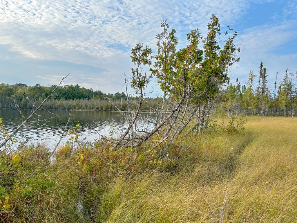 Bord de l'eau