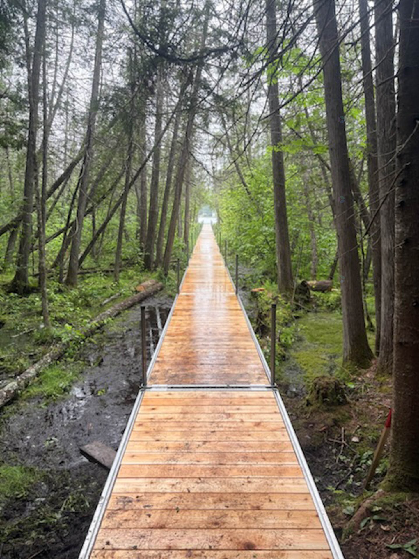 Passerelle