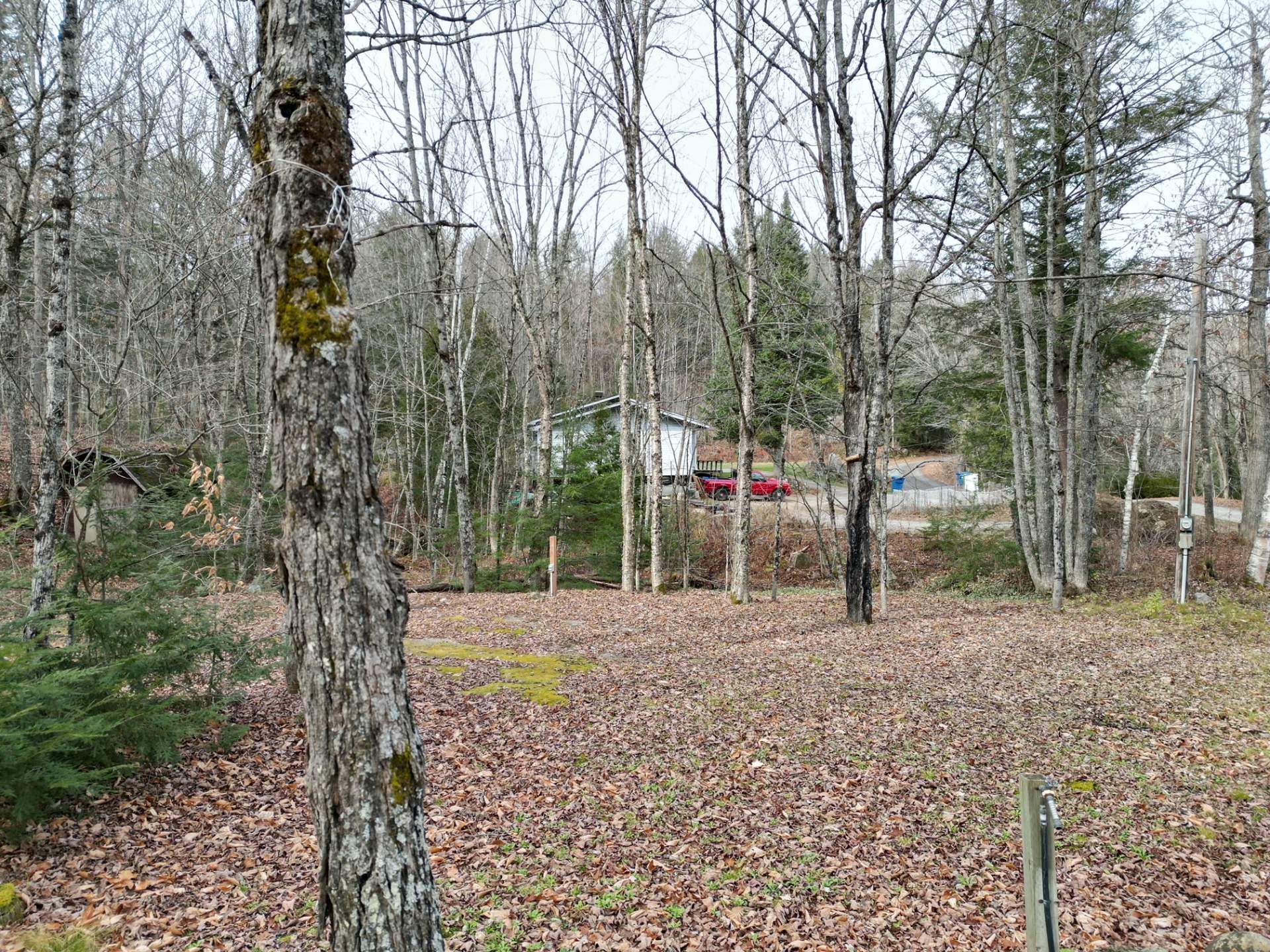 Terre/Terrain