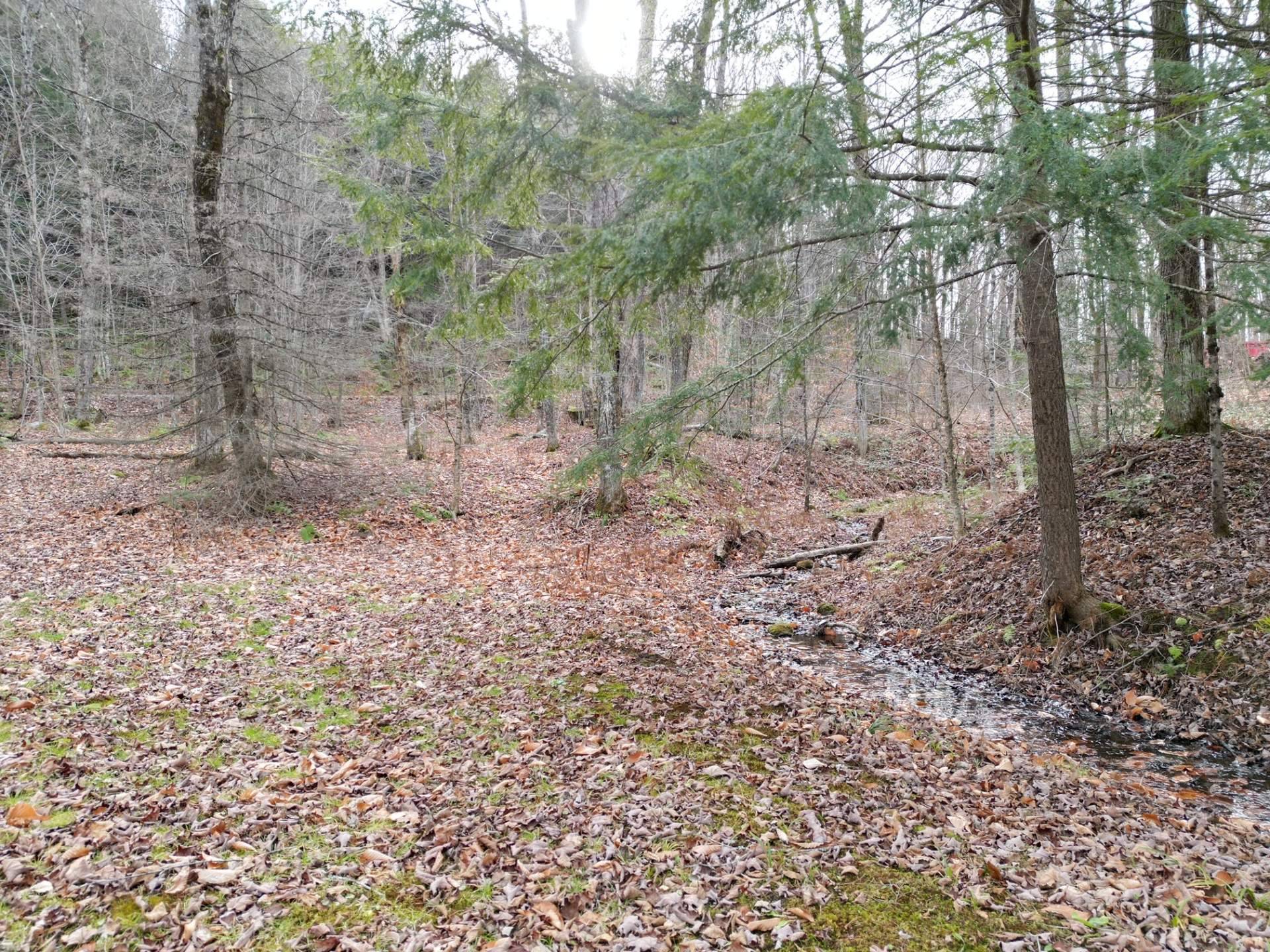Terre/Terrain