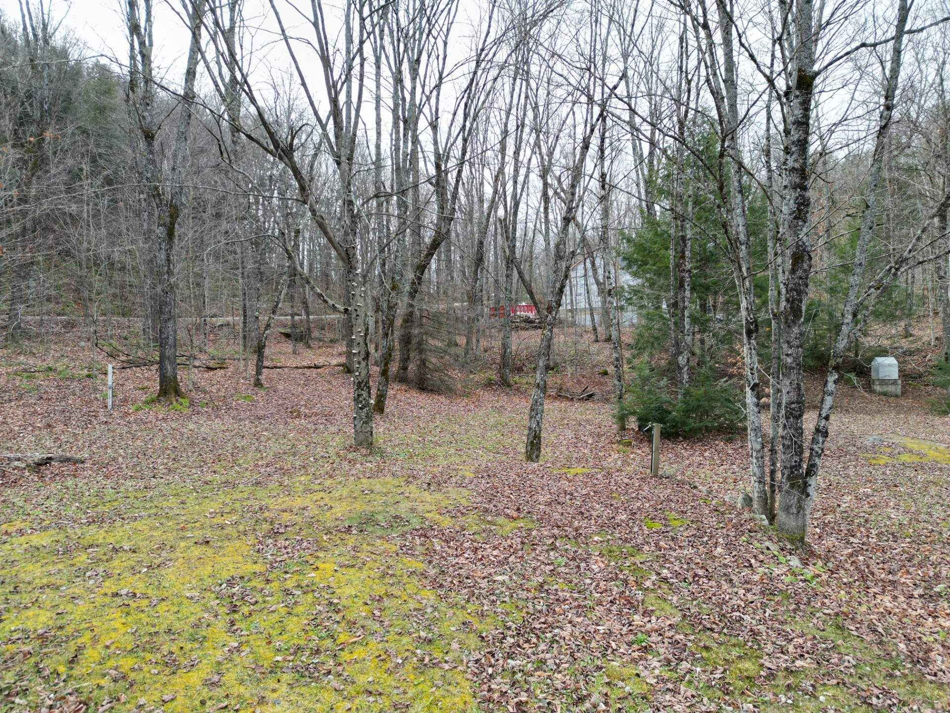 Terre/Terrain