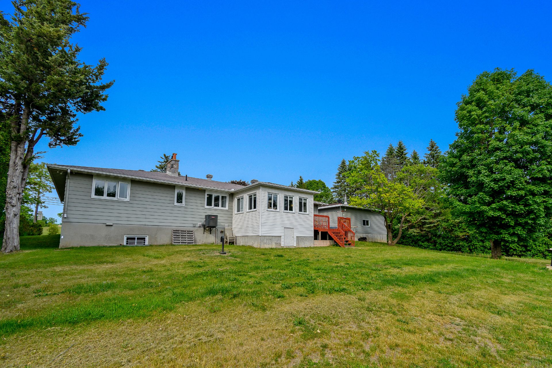 Face arrière