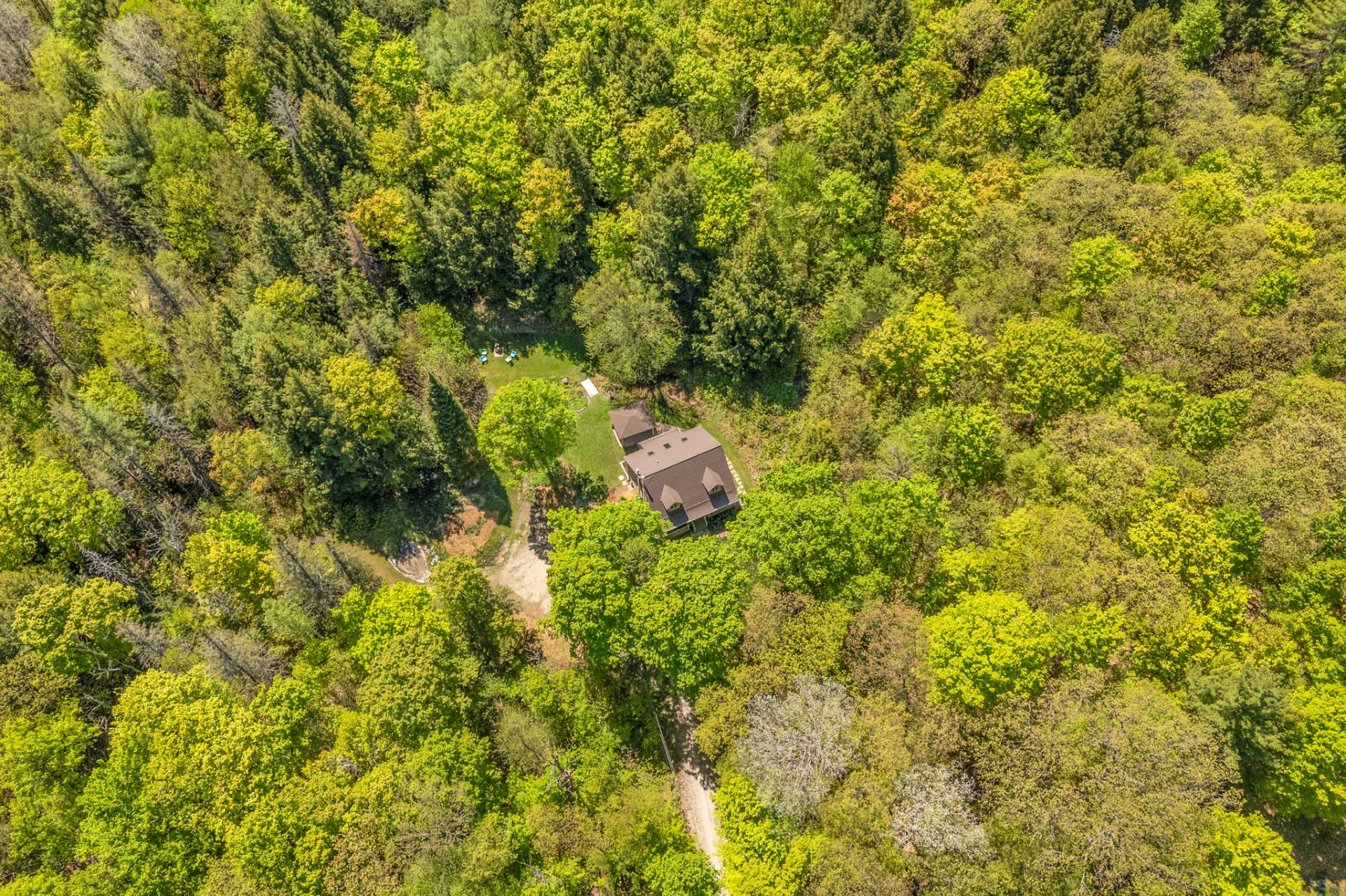 Overall View