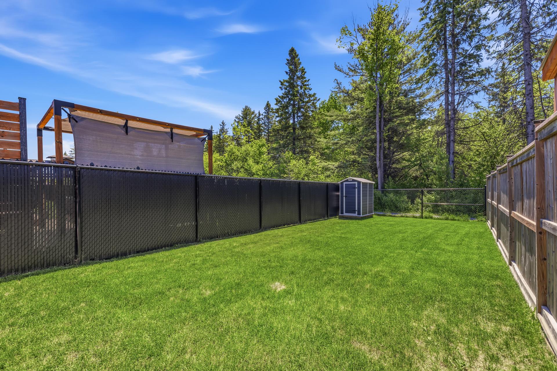 Backyard