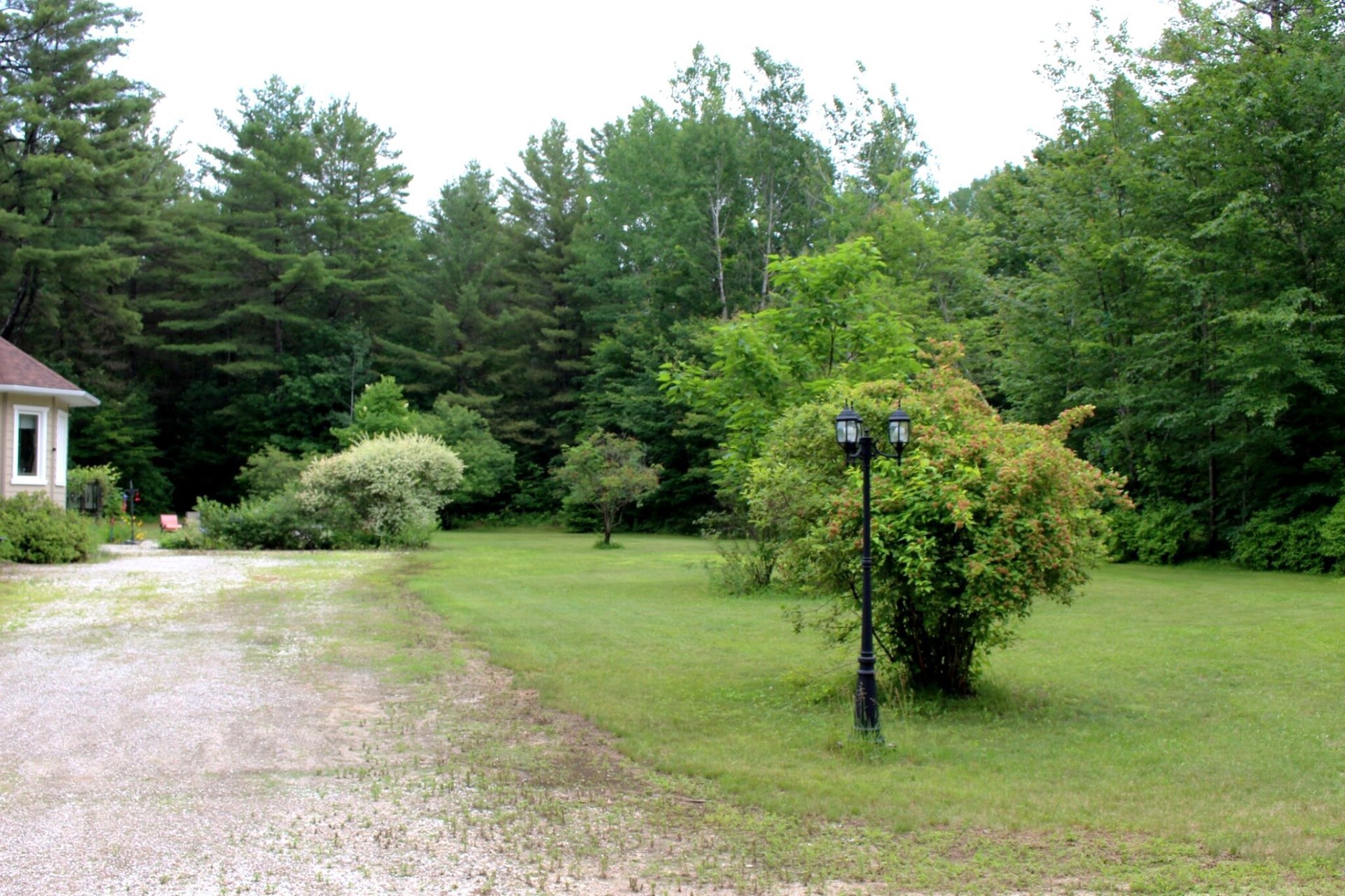 Land/Lot