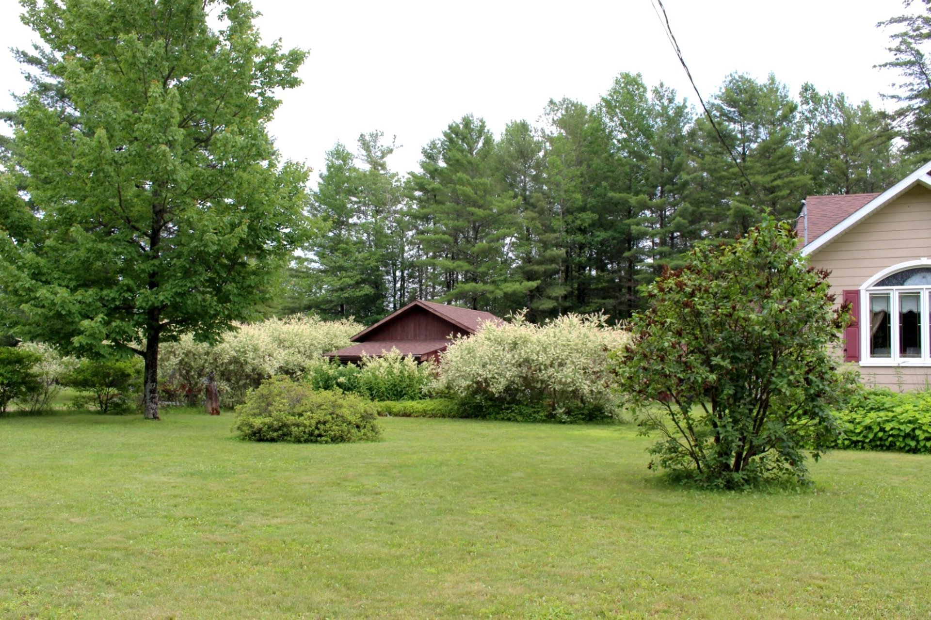 Land/Lot