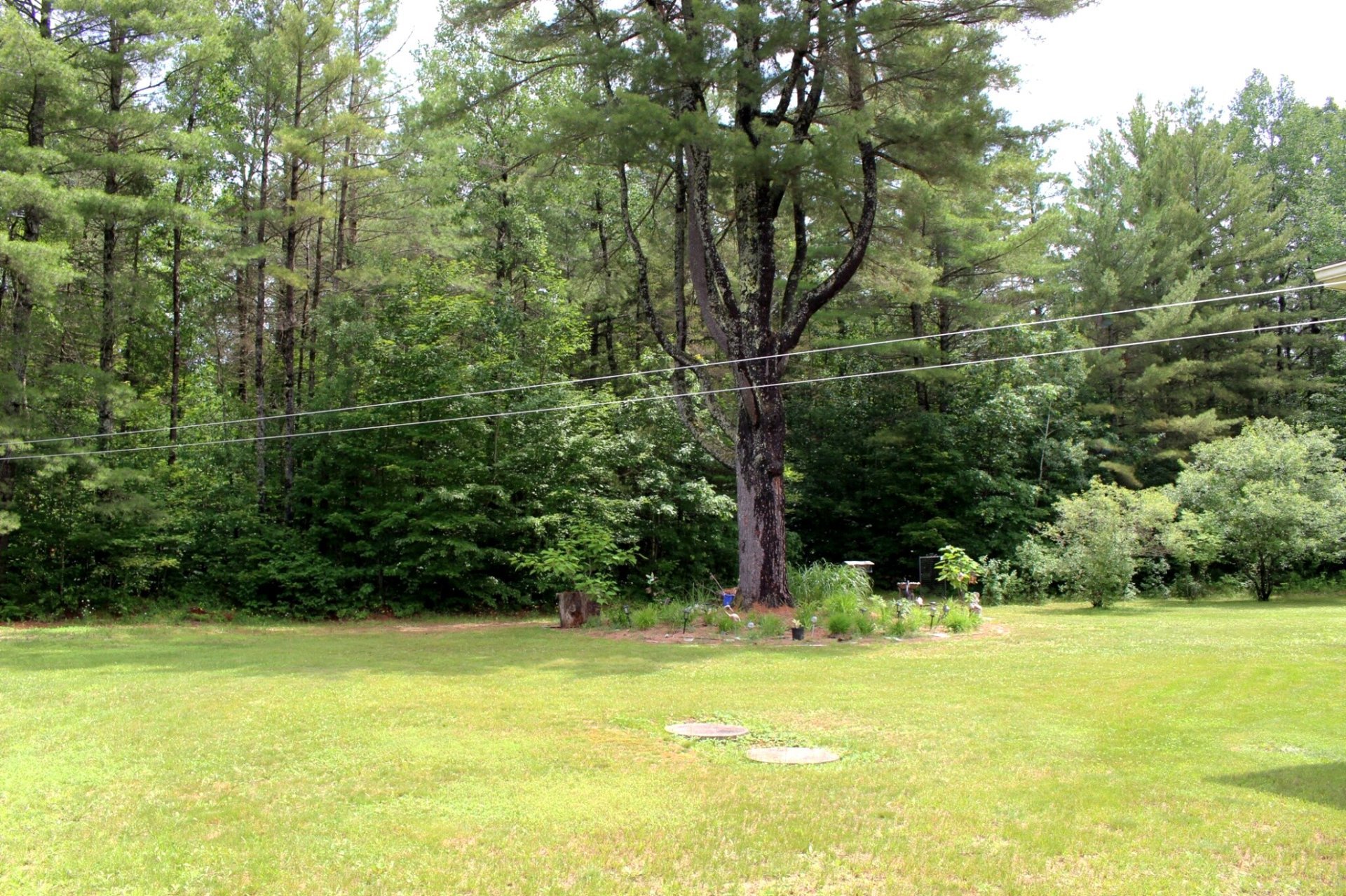 Land/Lot