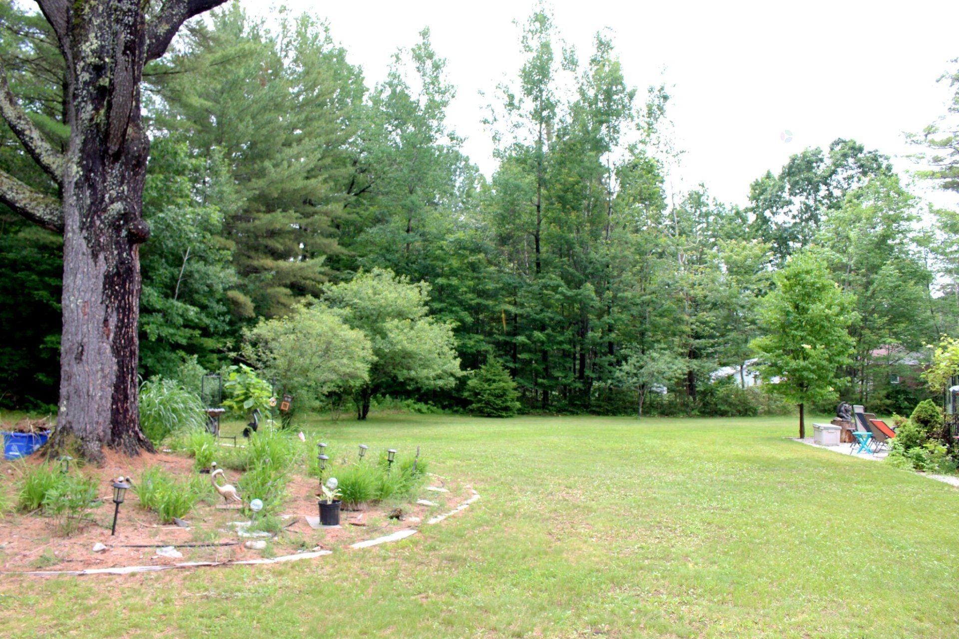 Land/Lot